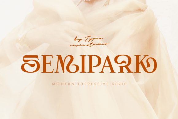 Semipark: A Creative Display Font for Modern Web Design